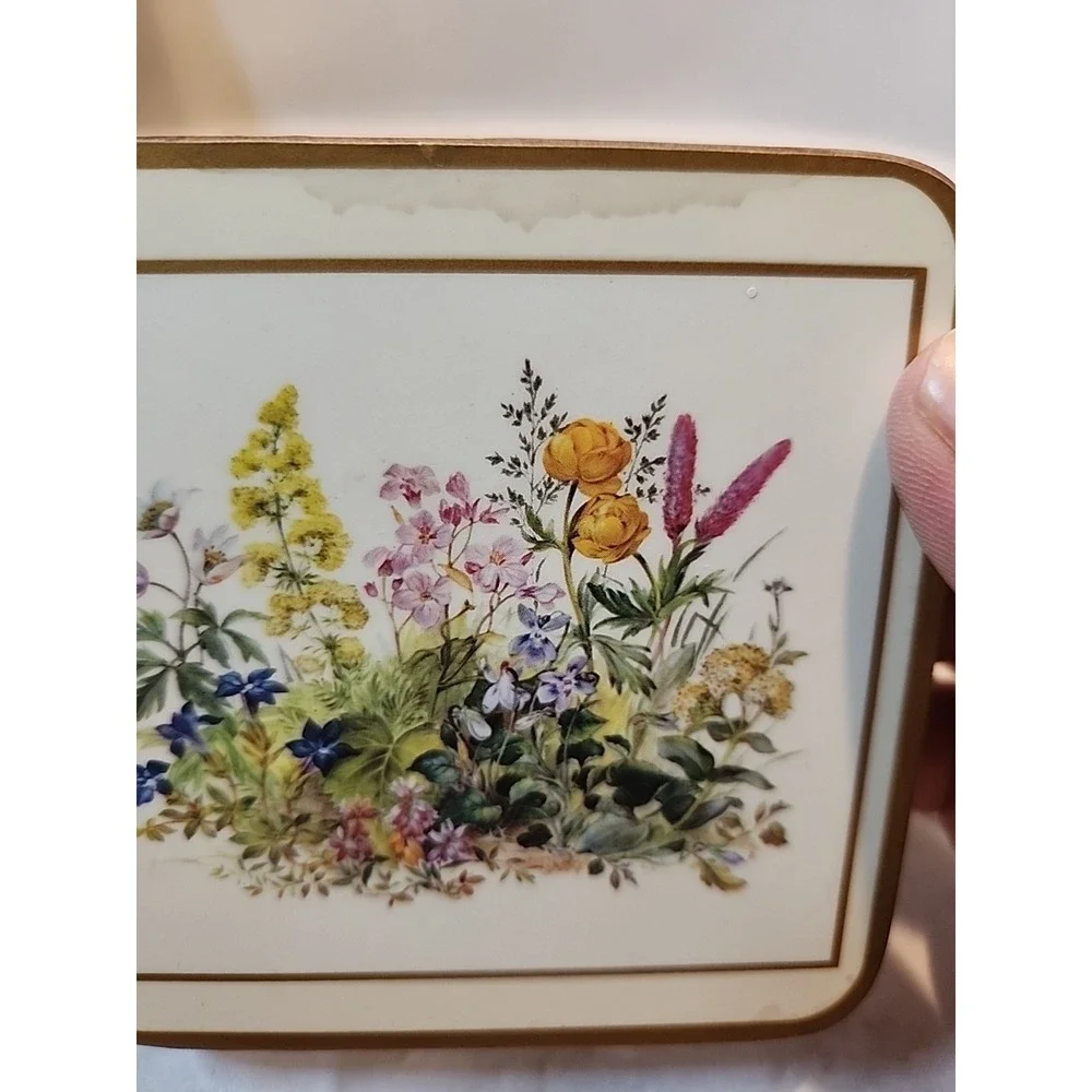 Pimpernel Set of‎ 6 VTG 'Meadow Floral' Design Cork Back Coasters W/Original Box